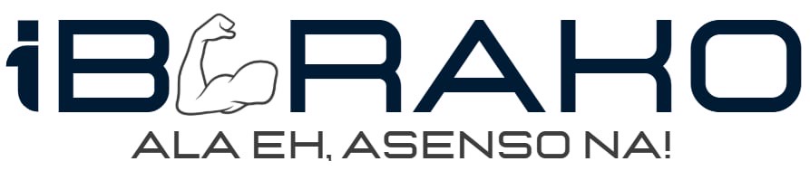 iBarako Logo